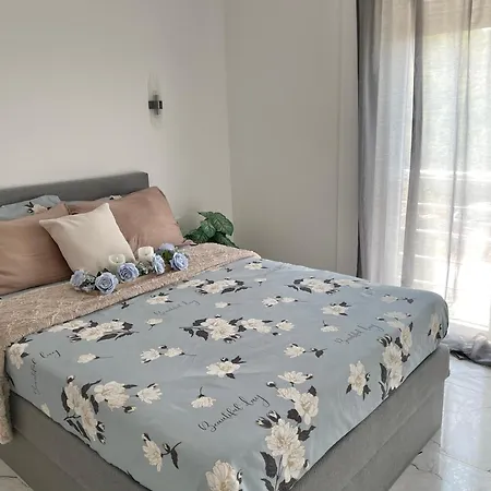 Citytop Nest *